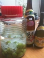 泡盛梅酒2010