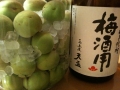 天盃2010